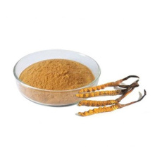 Chinese Supply Pure Natural Best Price Cordyceps Sinensis Extract Powder